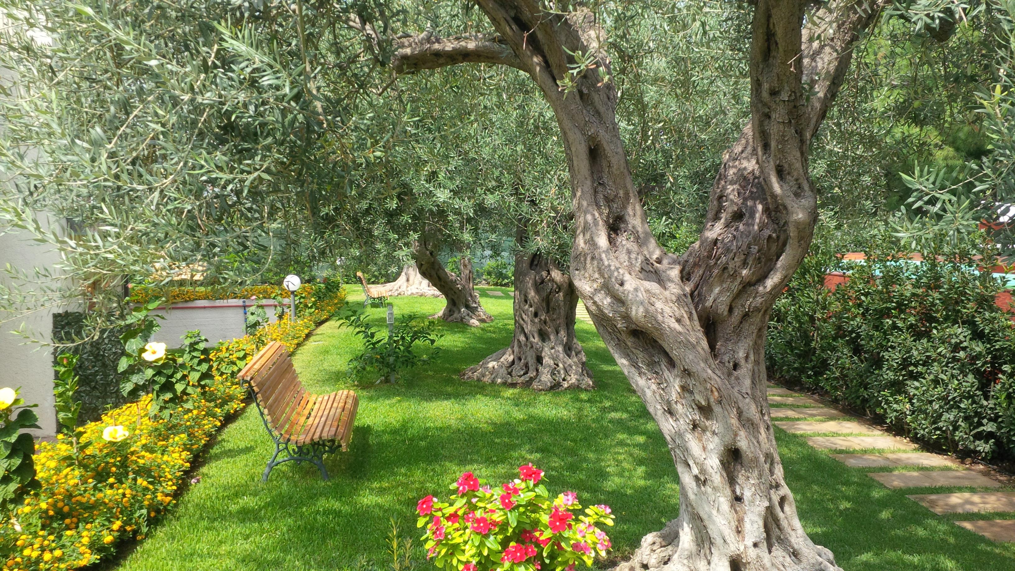 Villa Collina Giardini Naxos Eksteriør billede
